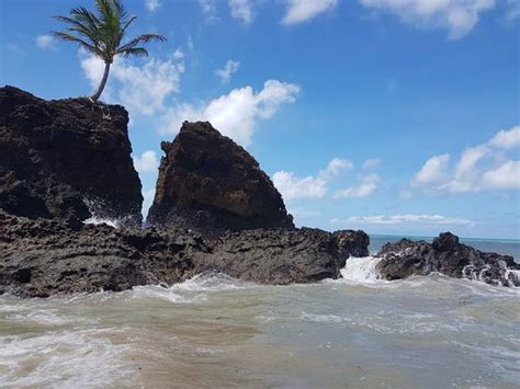 The best naturist beach in Brazil .